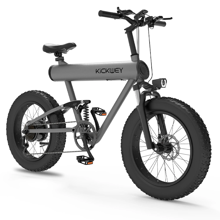 Hot Selling E-Bike Pedal Electric Bike Mobility Ebike for Adult