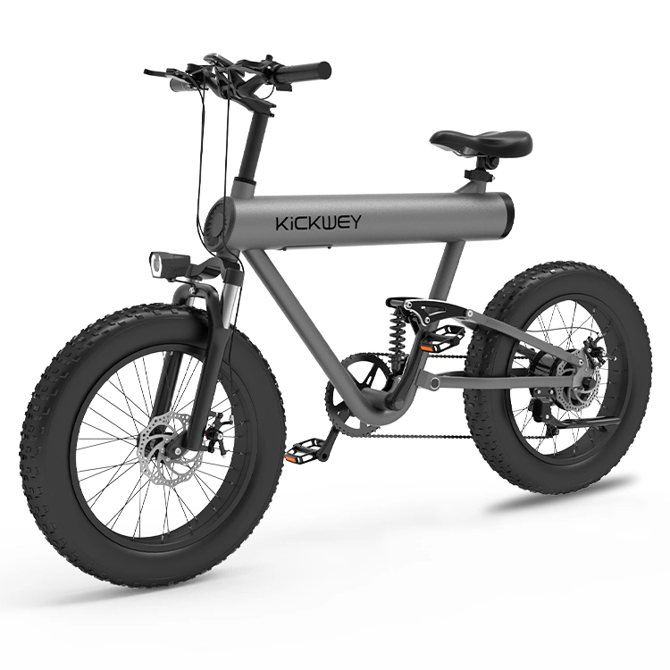 Hot Selling E-Bike Pedal Electric Bike Mobility Ebike for Adult