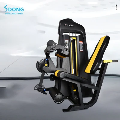 Hack Squatting Machinegym Commercial Hack Squat Machine Trainer Multifuncional Pierna Glúteos Músculo Entrenador integral Fabricante